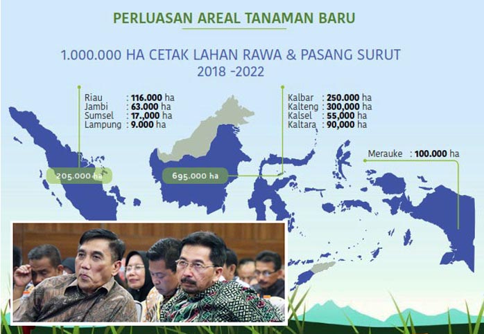 Potensi 10,90 Juta Ha, 500 Ribu Ha Lahan Rawa Target Ditjen PSP 2019